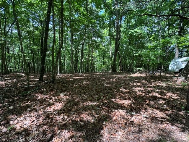 154 Chill Lane, Blairsville GA 30512 - Primary photo