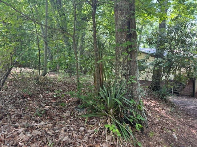 154 Chill Lane, Blairsville GA 30512 - Photo