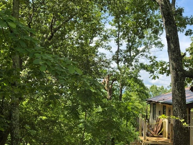 154 Chill Lane, Blairsville GA 30512 - Photo