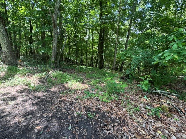 154 Chill Lane, Blairsville GA 30512 - Photo