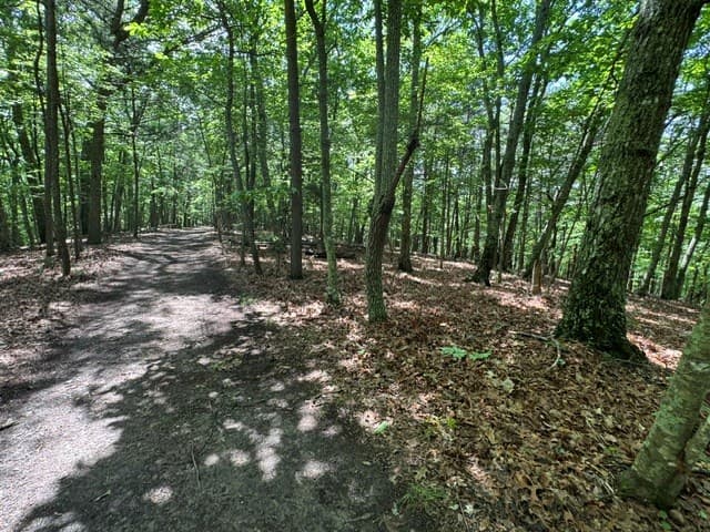 154 Chill Lane, Blairsville GA 30512 - Photo