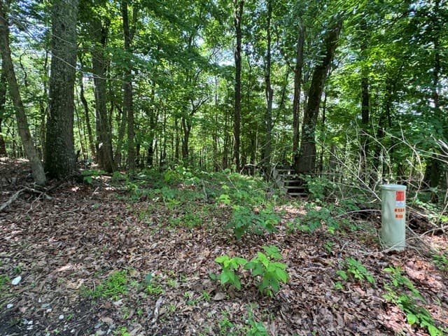 154 Chill Lane, Blairsville GA 30512 - Photo