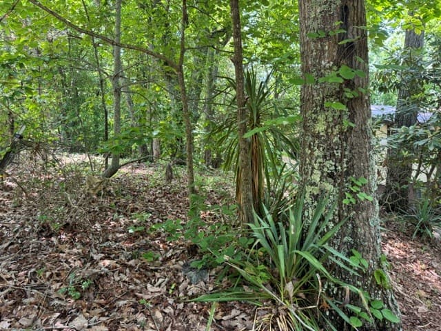 154 Chill Lane, Blairsville GA 30512 - Photo