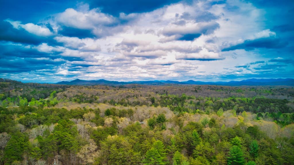 276 My Mountain Road, Morganton GA 30560 - Photo