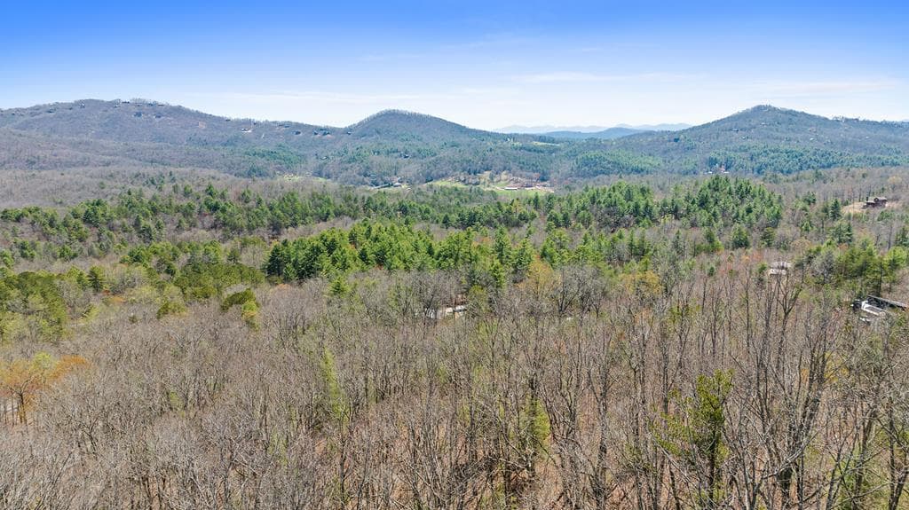 40A Synacia Road, Mineral Bluff GA 30559 - Photo