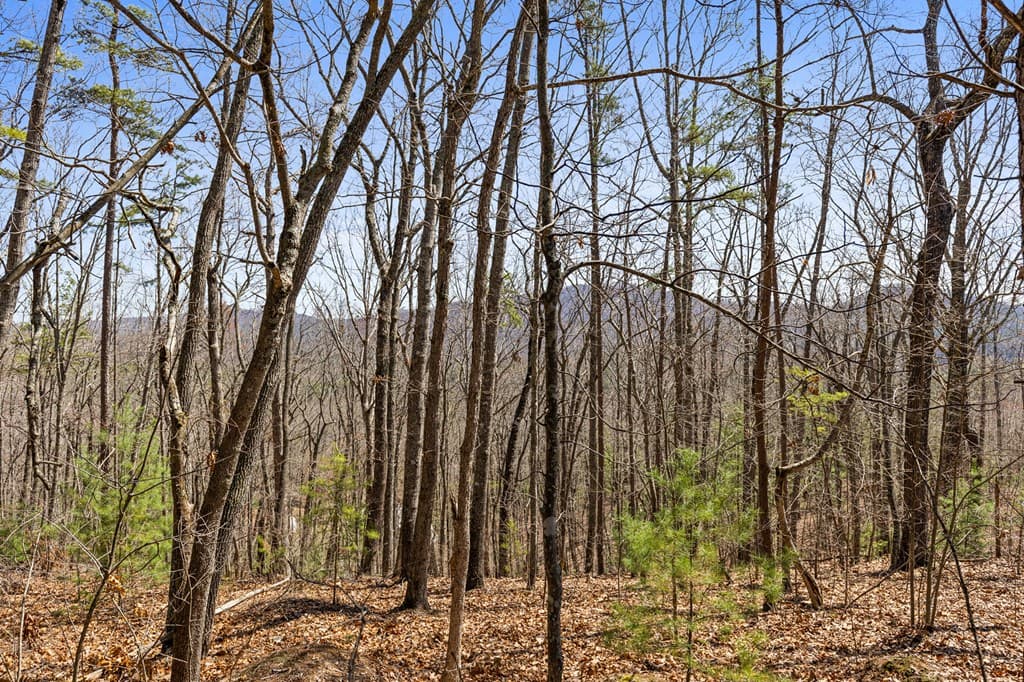 40A Synacia Road, Mineral Bluff GA 30559 - Photo