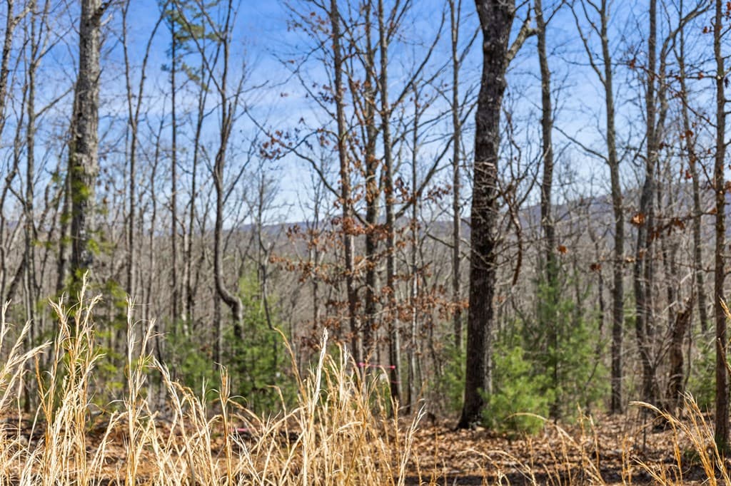 40A Synacia Road, Mineral Bluff GA 30559 - Photo