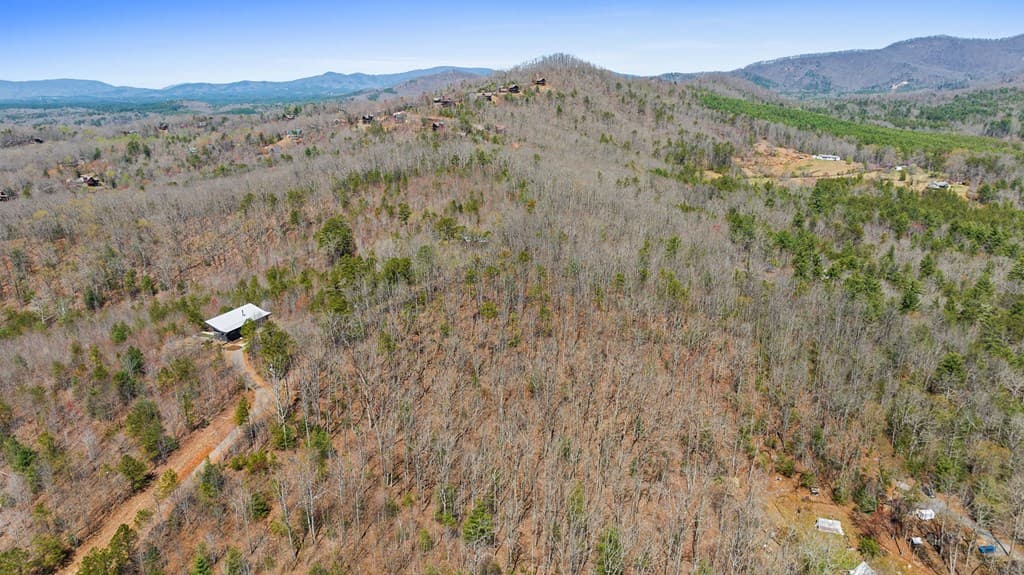 40A Synacia Road, Mineral Bluff GA 30559 - Photo