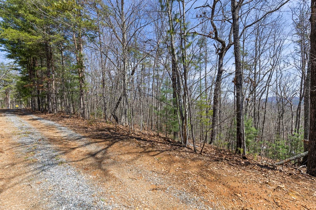 40A Synacia Road, Mineral Bluff GA 30559 - Photo