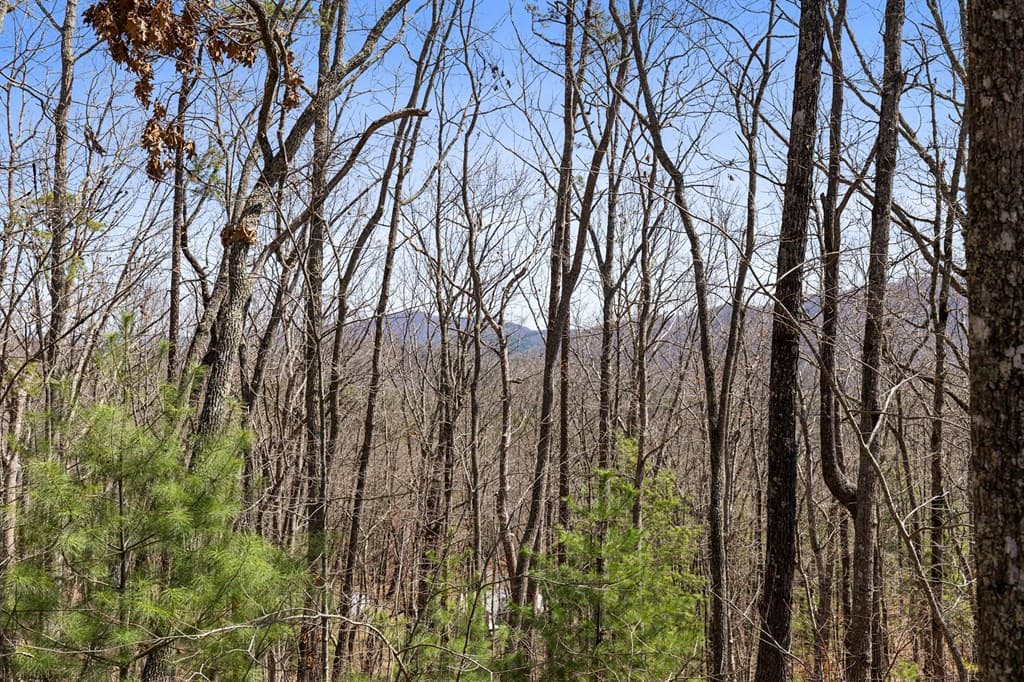 40A Synacia Road, Mineral Bluff GA 30559 - Photo
