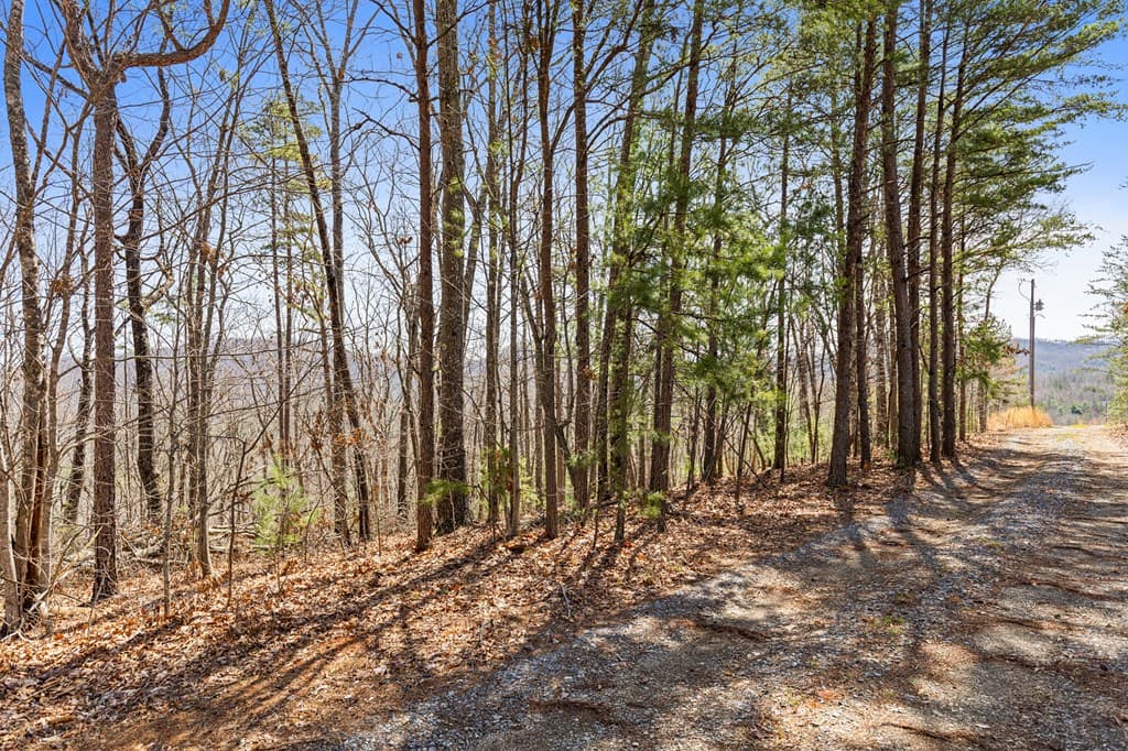 40A Synacia Road, Mineral Bluff GA 30559 - Photo