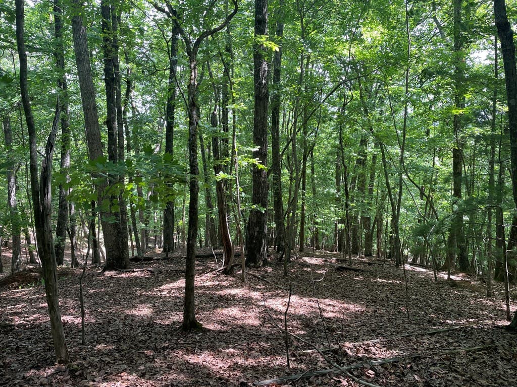 Lot 11 Brumby Run, Blairsville GA 30512 - Photo
