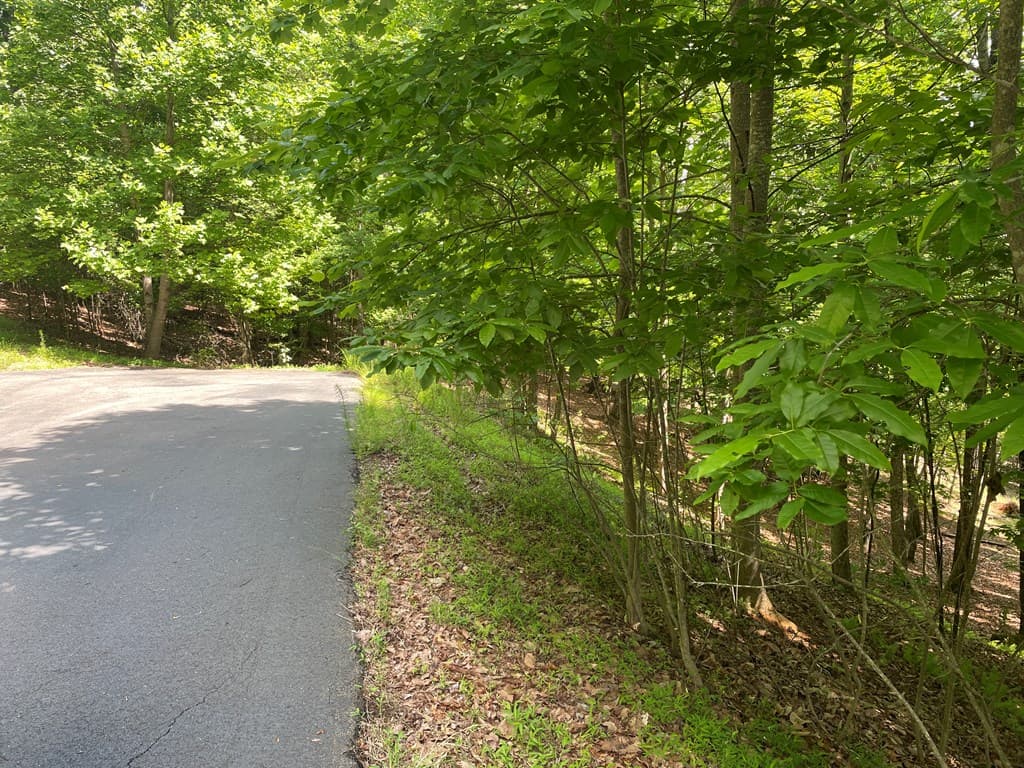 Lot 11 Brumby Run, Blairsville GA 30512 - Photo