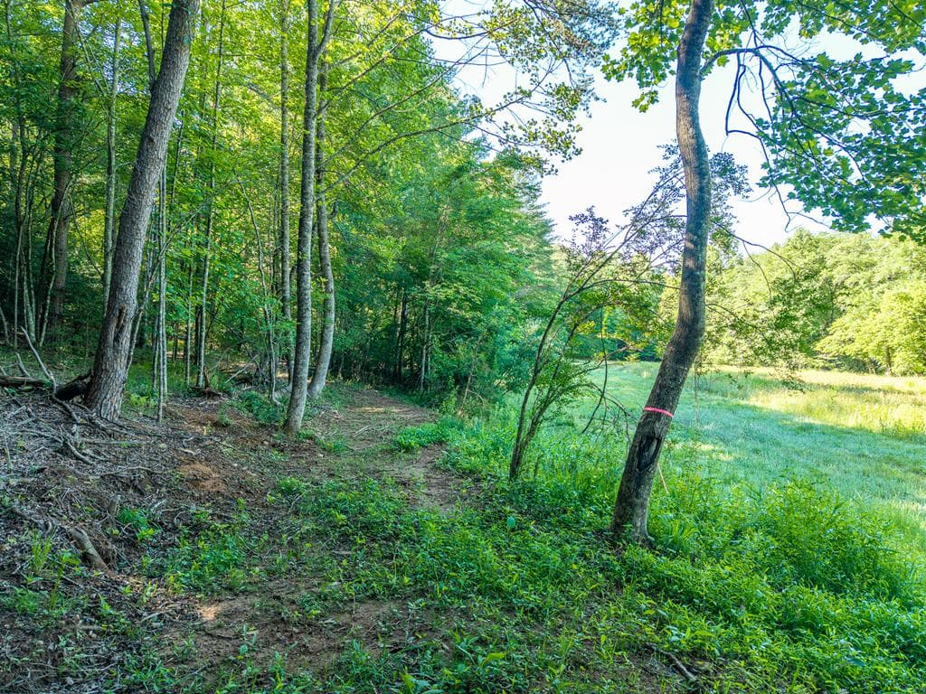 5664 Mobile Road, Blue Ridge GA 30513 - Photo