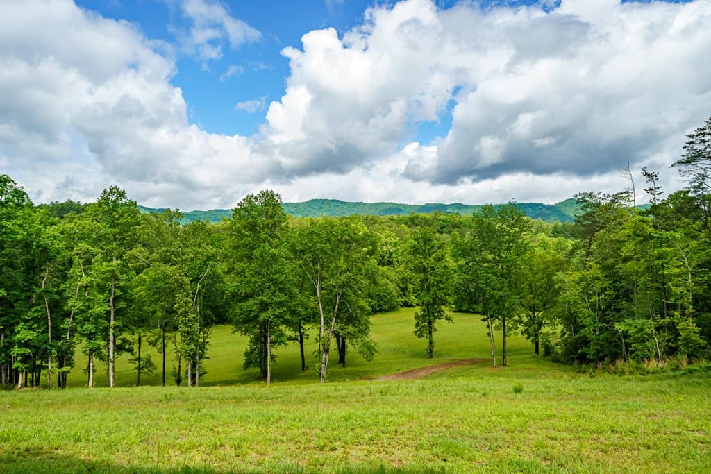 5664 Mobile Road, Blue Ridge GA 30513 - Photo