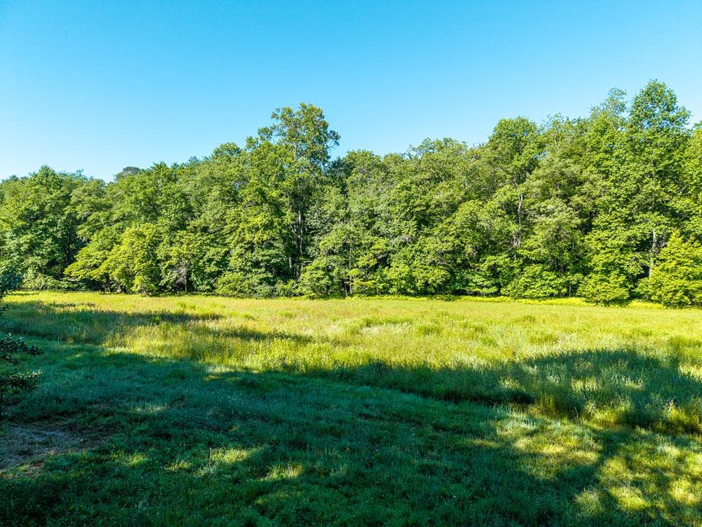5664 Mobile Road, Blue Ridge GA 30513 - Photo