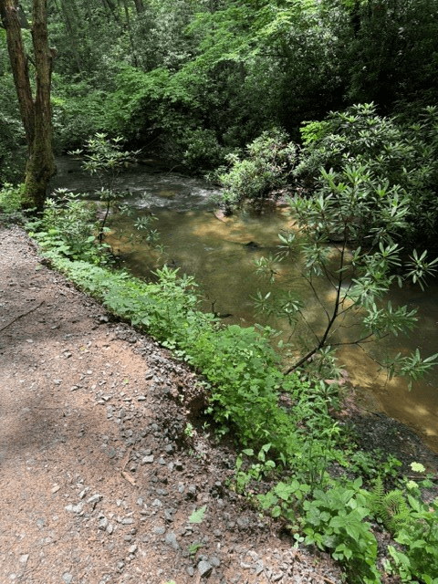 Lot 2 Kells Ridge, Ellijay GA 30540 - Photo