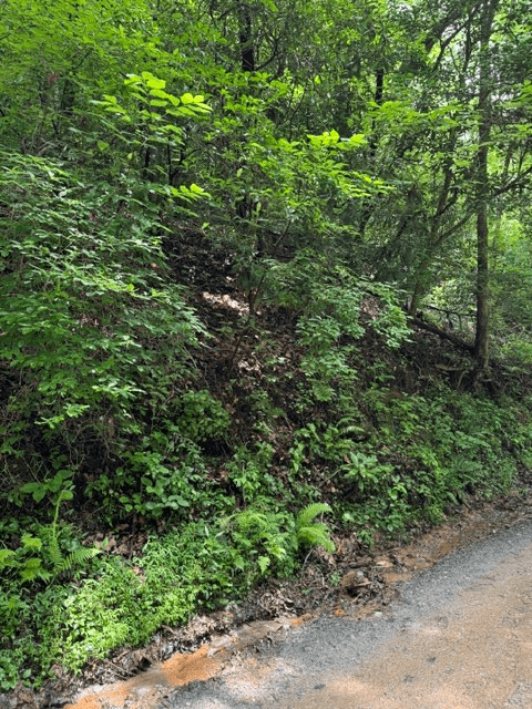 Lot 2 Kells Ridge, Ellijay GA 30540 - Photo