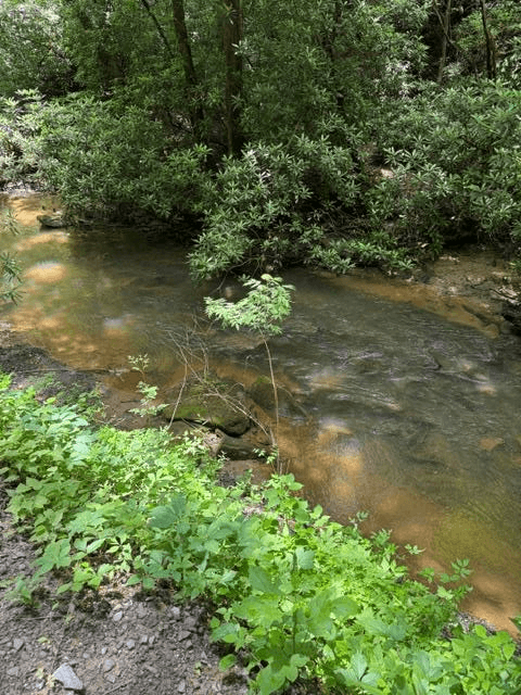 Lot 2 Kells Ridge, Ellijay GA 30540 - Primary photo