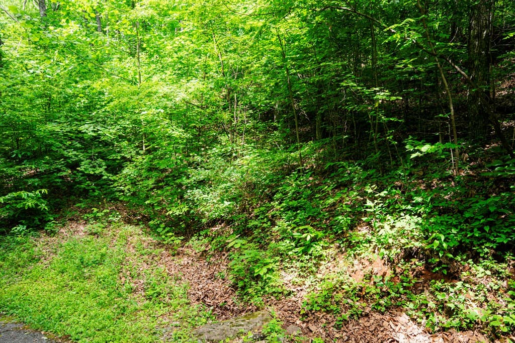 8 Skyview Drive, Hayesville NC 28904 - Photo