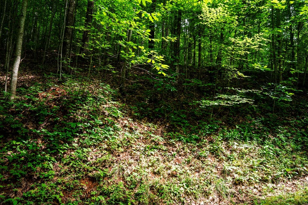 8 Skyview Drive, Hayesville NC 28904 - Photo