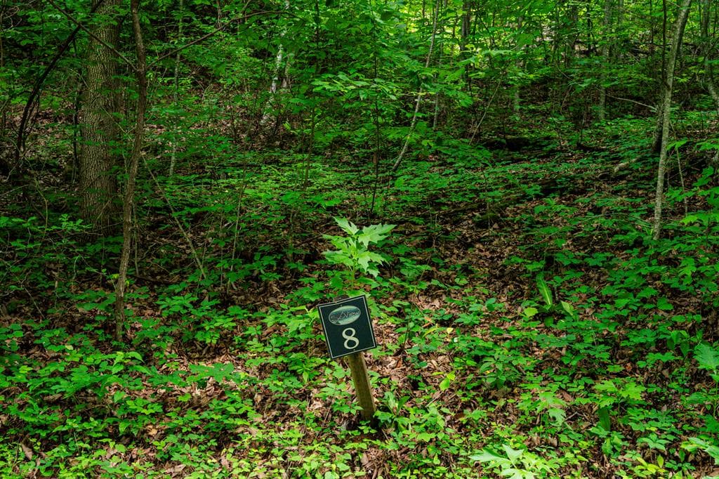 8 Skyview Drive, Hayesville NC 28904 - Primary photo