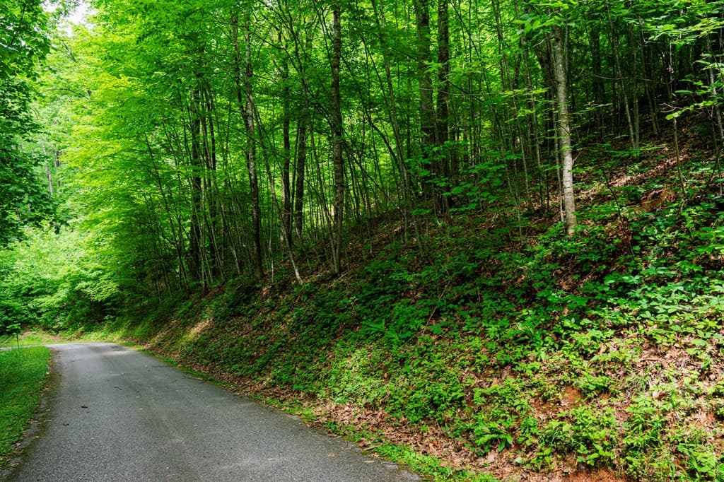 8 Skyview Drive, Hayesville NC 28904 - Photo