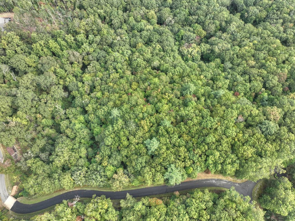 Lot 25 Utana Bluffs Trail, Ellijay GA 30540 - Photo