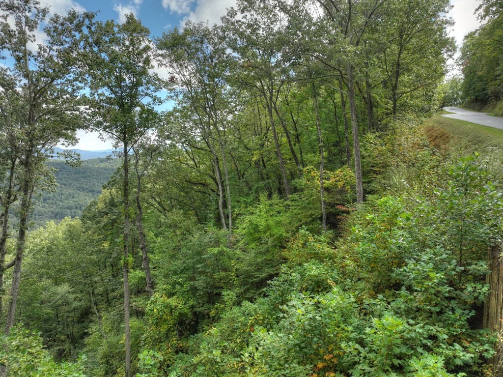 Lot 25 Utana Bluffs Trail, Ellijay GA 30540 - Photo