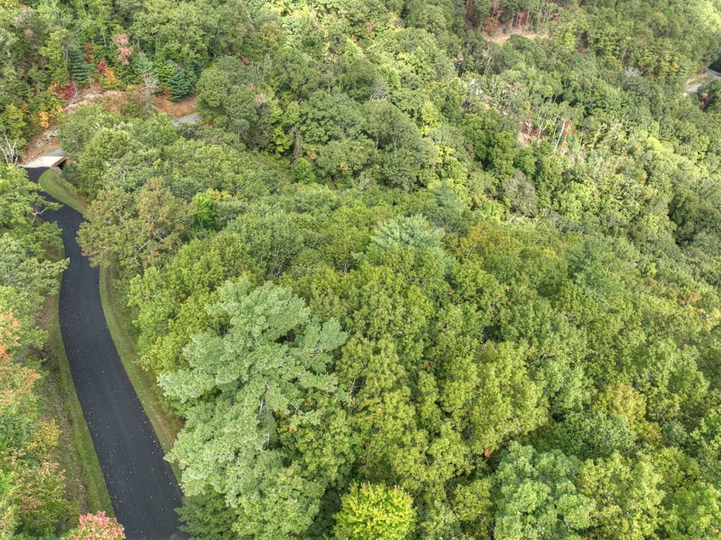 Lot 25 Utana Bluffs Trail, Ellijay GA 30540 - Photo