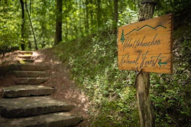 Lot 25 Utana Bluffs Trail, Ellijay GA 30540 - Photo