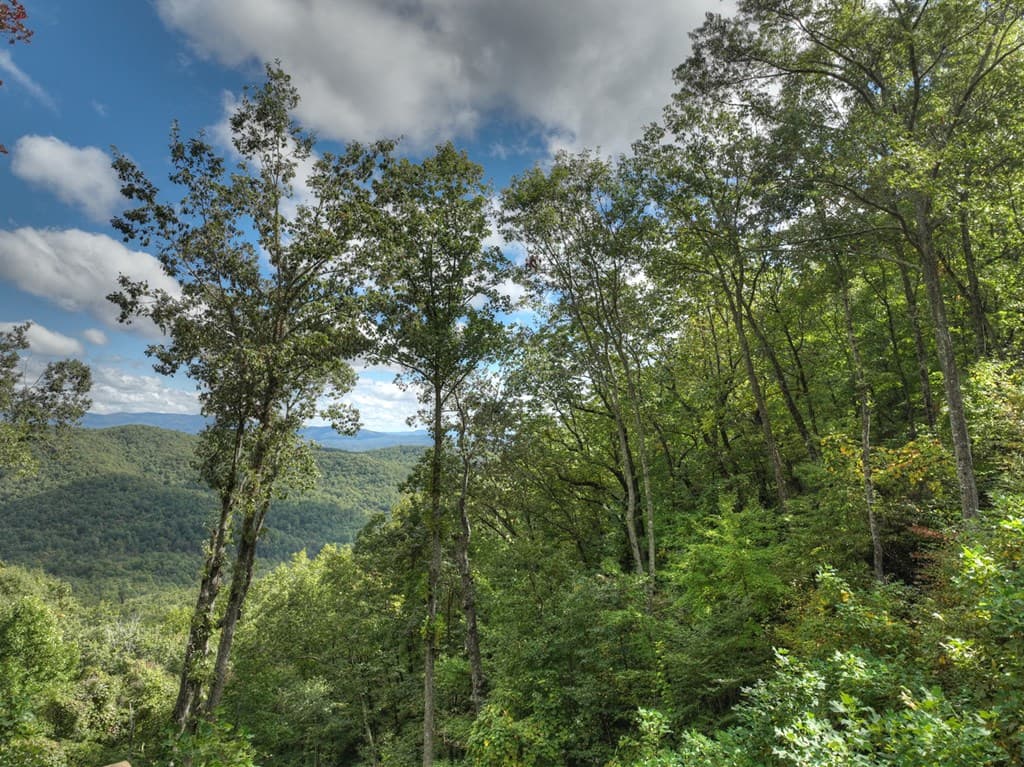 Lot 25 Utana Bluffs Trail, Ellijay GA 30540 - Photo