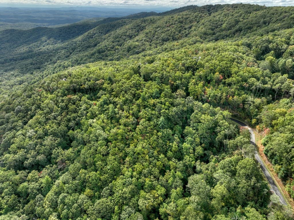 Lot 25 Utana Bluffs Trail, Ellijay GA 30540 - Photo