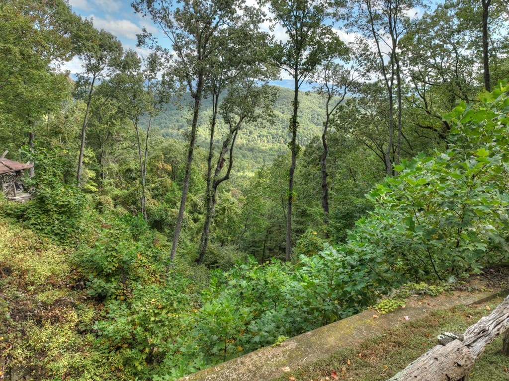 Lot 25 Utana Bluffs Trail, Ellijay GA 30540 - Photo