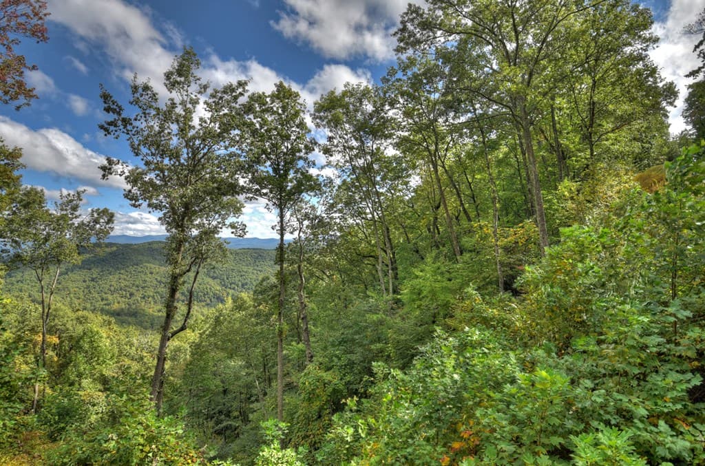 Lot 25 Utana Bluffs Trail, Ellijay GA 30540 - Photo