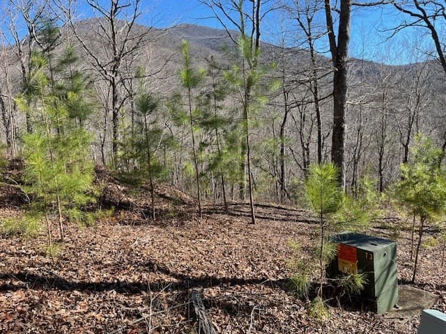 Lot 10 Mountain Valley View, Hiawassee GA 30546 - Photo