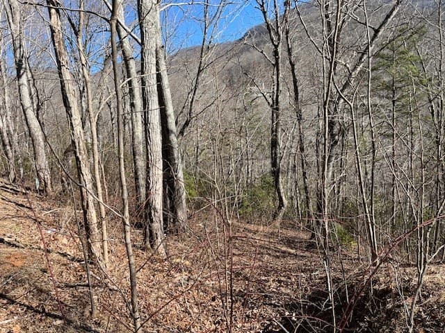 Lot 10 Mountain Valley View, Hiawassee GA 30546 - Photo