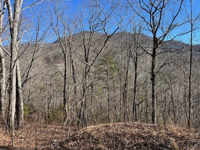 Lot 10 Mountain Valley View, Hiawassee GA 30546 - Photo