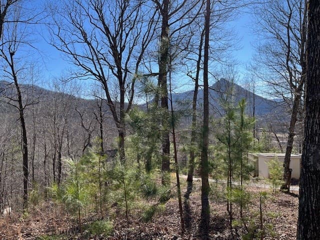 Lot 10 Mountain Valley View, Hiawassee GA 30546 - Photo