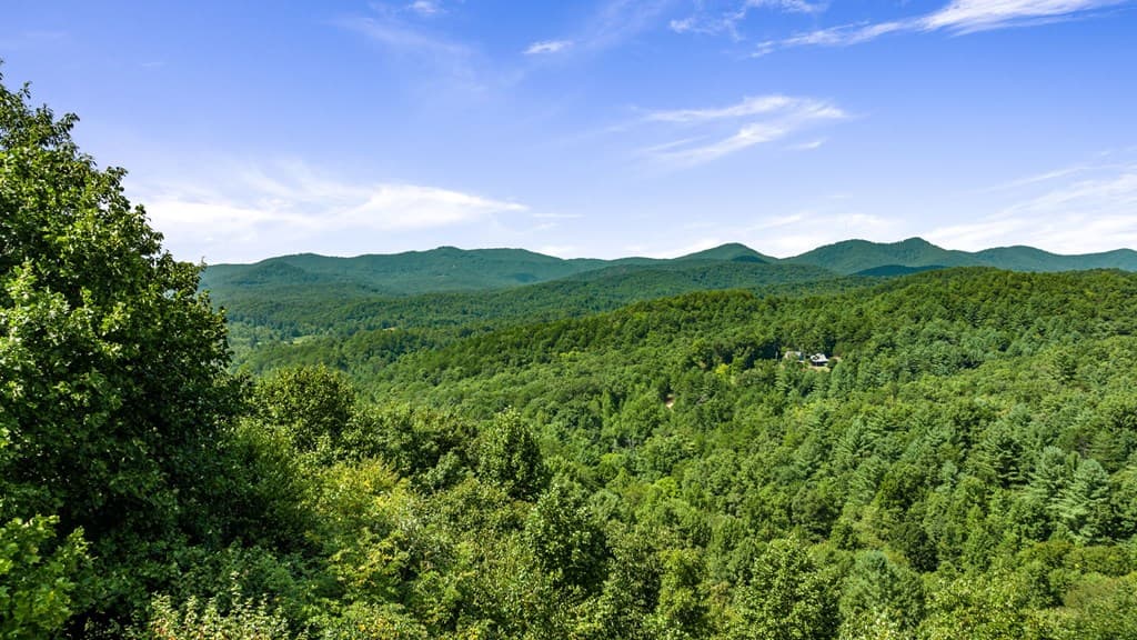 469 Mountain High Drive, Mineral Bluff GA 30559 - Photo