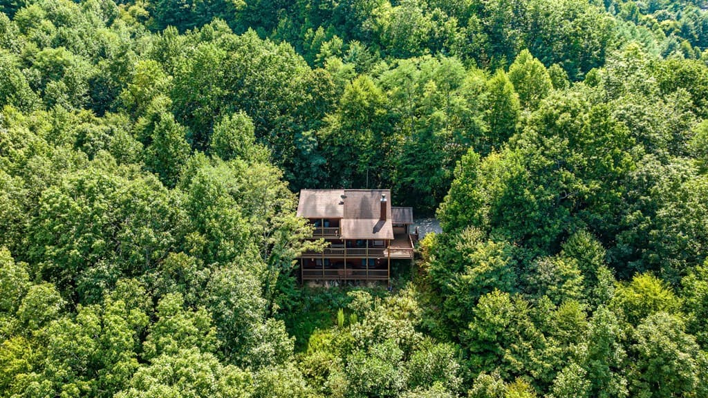 469 Mountain High Drive, Mineral Bluff GA 30559 - Photo