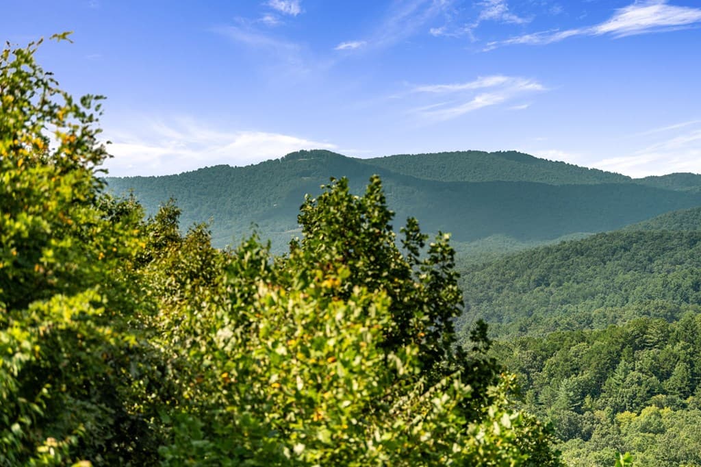 469 Mountain High Drive, Mineral Bluff GA 30559 - Photo
