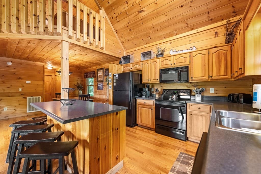 469 Mountain High Drive, Mineral Bluff GA 30559 - Photo