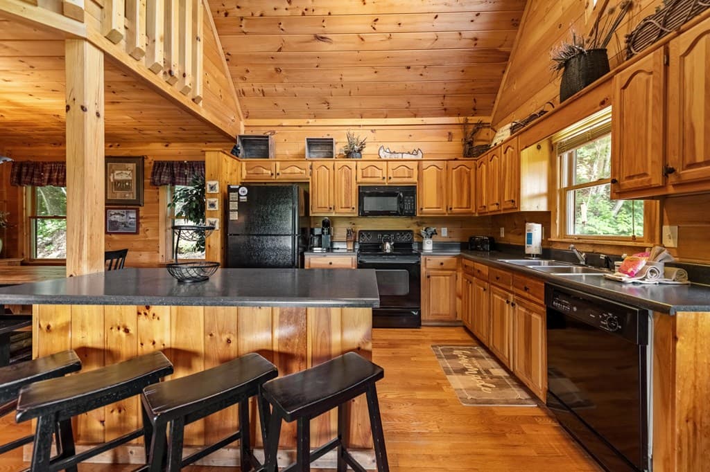 469 Mountain High Drive, Mineral Bluff GA 30559 - Photo
