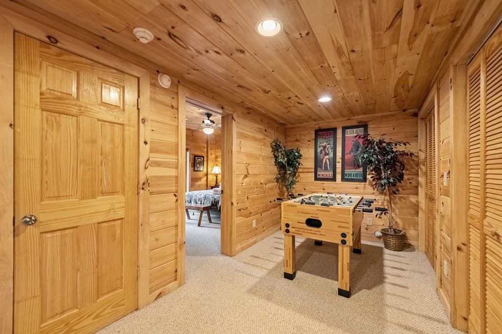 469 Mountain High Drive, Mineral Bluff GA 30559 - Photo