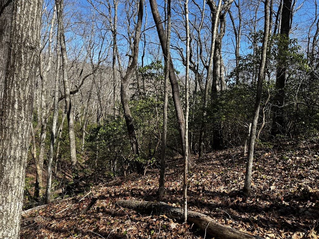 206 Northview Parkway, Ellijay GA 30536 - Photo