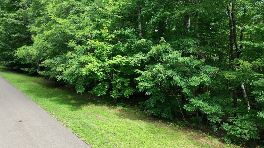 206 Northview Parkway, Ellijay GA 30536 - Photo