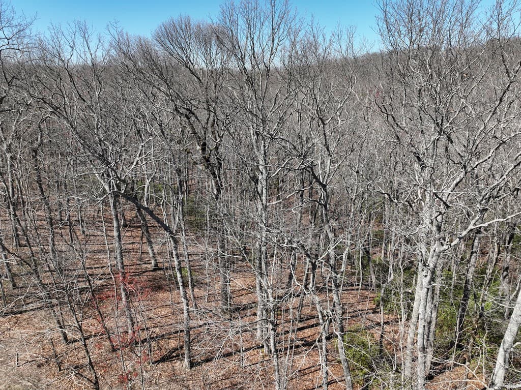 206 Northview Parkway, Ellijay GA 30536 - Photo