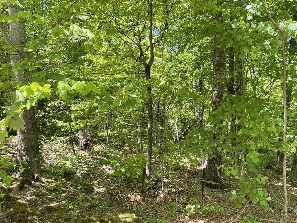 206 Northview Parkway, Ellijay GA 30536 - Photo