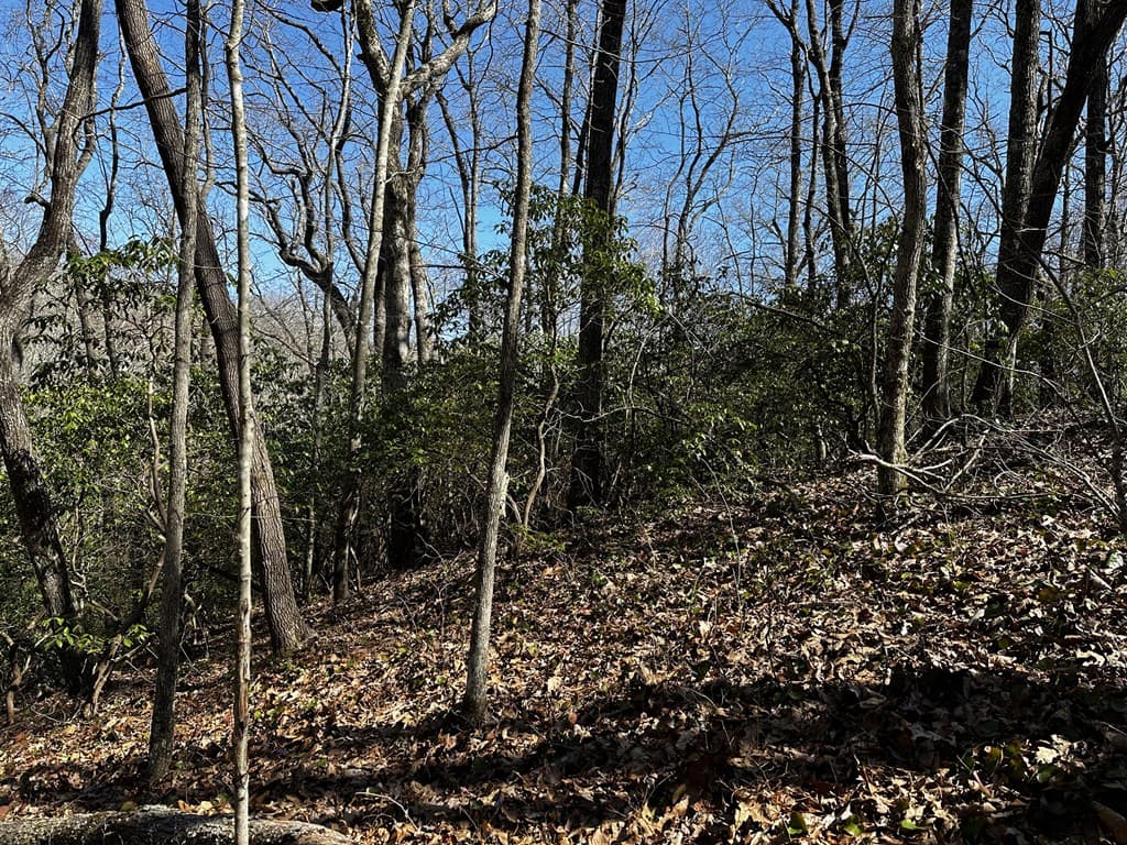 206 Northview Parkway, Ellijay GA 30536 - Photo